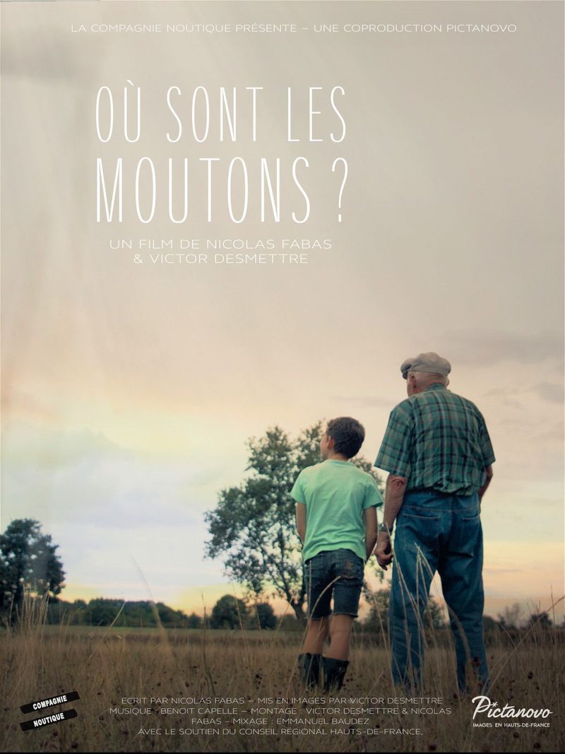 Affiche d’Où sont les moutons ?, un film de Nicolas Fabas et Victor Desmettre
