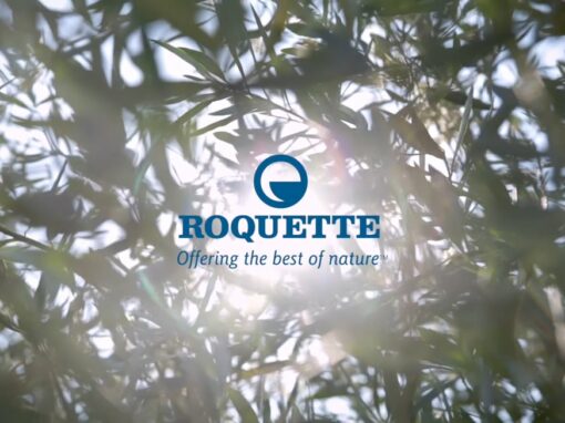 Roquette – Le meilleur de la nature