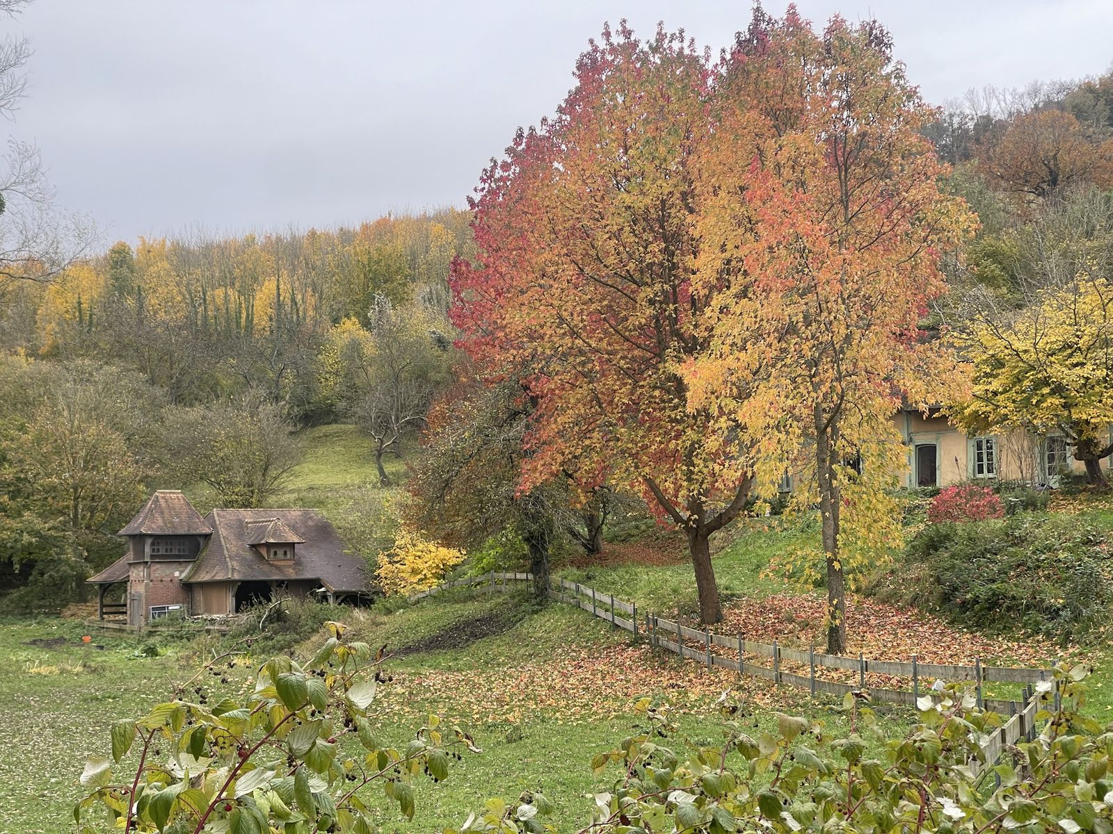 Arbres d’automne aux couleurs vives devant une chaumière