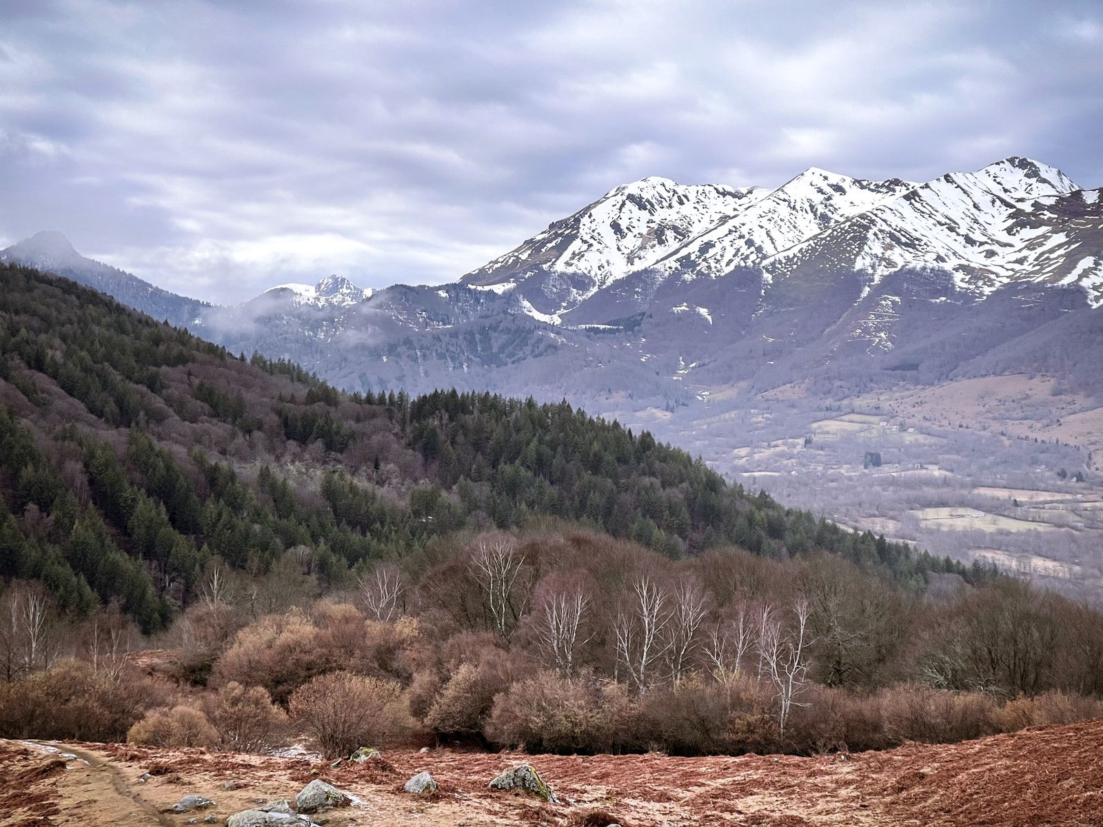 Vallée et sommets enneigés