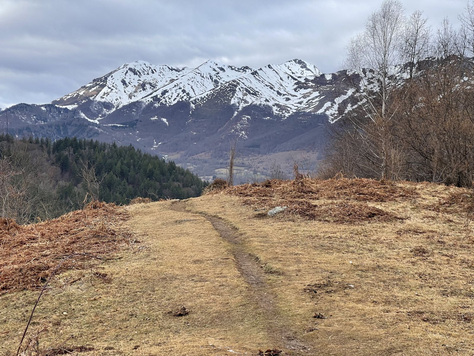Sentier vers les sommets enneigés