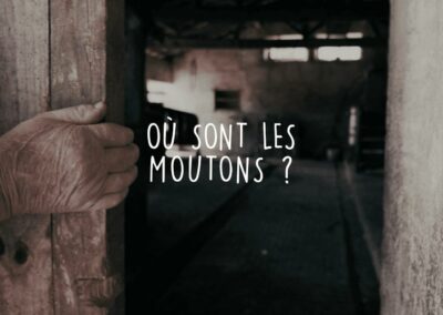 Où sont les moutons