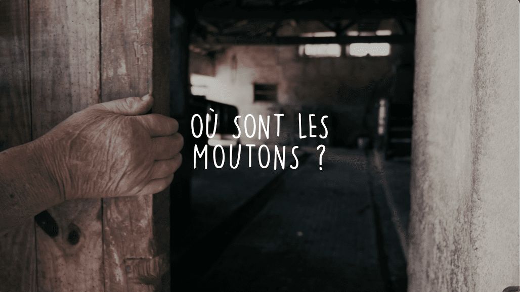 Où sont les moutons